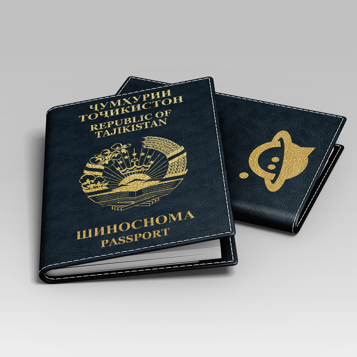 Перевод таджикского паспорта в Москве